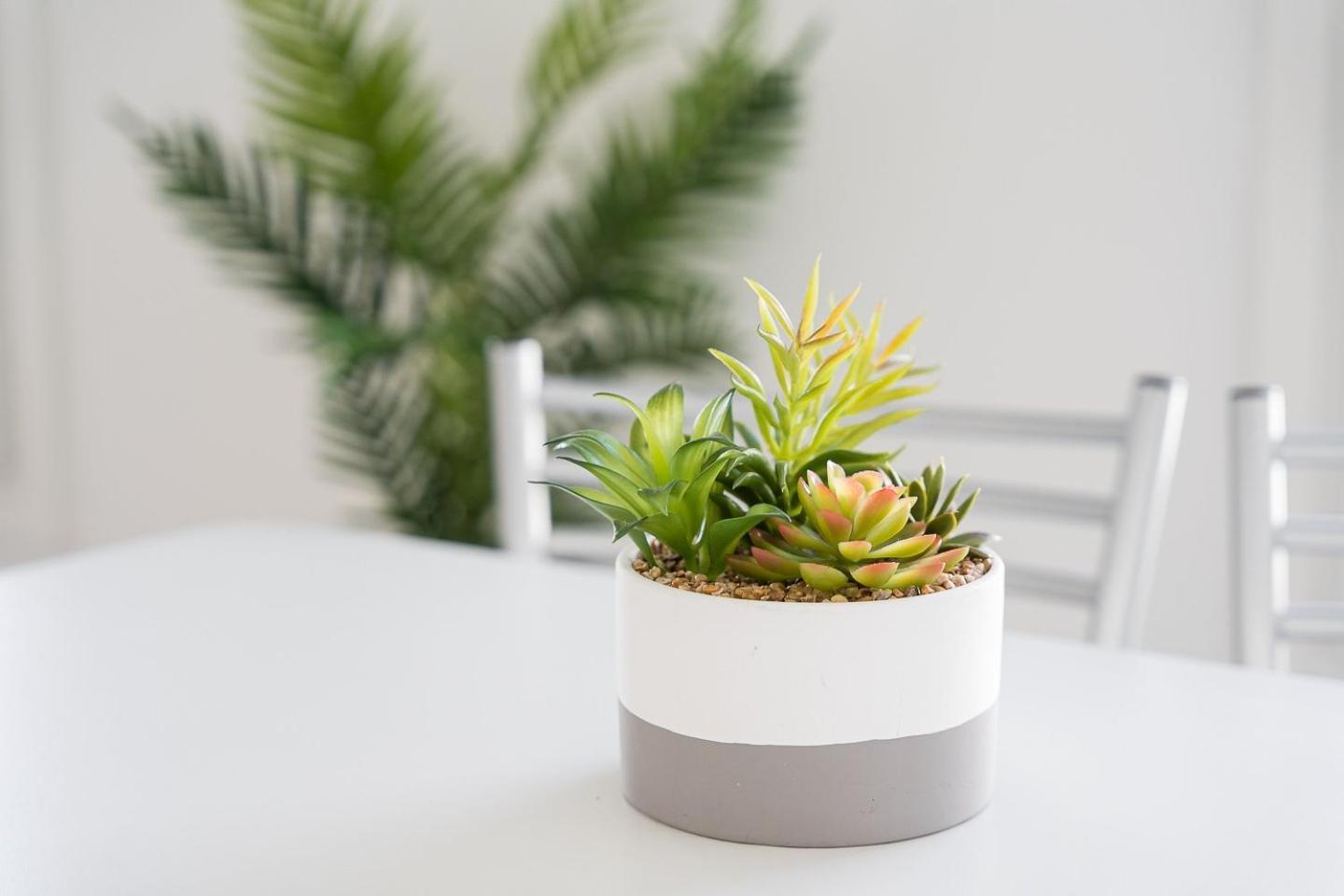 Guestready - Aveiro'S Hidden Gem Apartment Luaran gambar